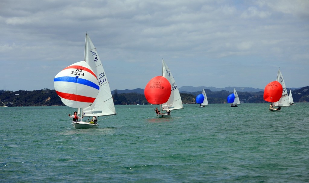 Flying 15 Thursday - Bay of Islands Sailing Week 2011  © Christine Webb
